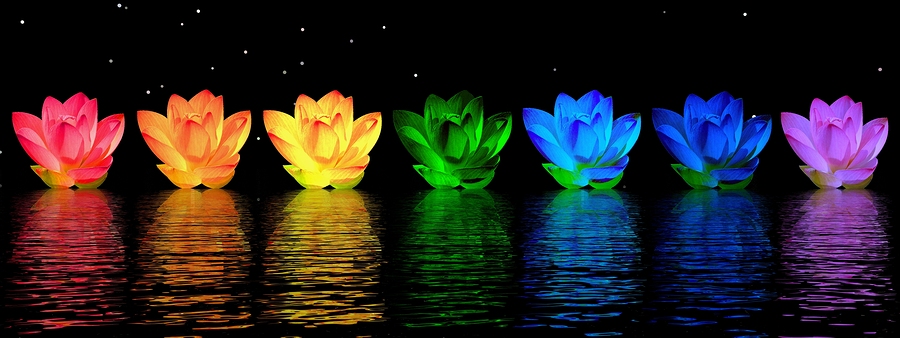 Lily-Flowers-Chakras-at Tantra Designs